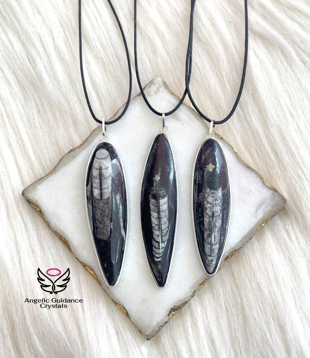 Orthoceras Fossil Pendant Large