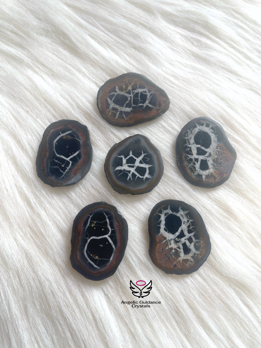 Septarian Nodule Medium