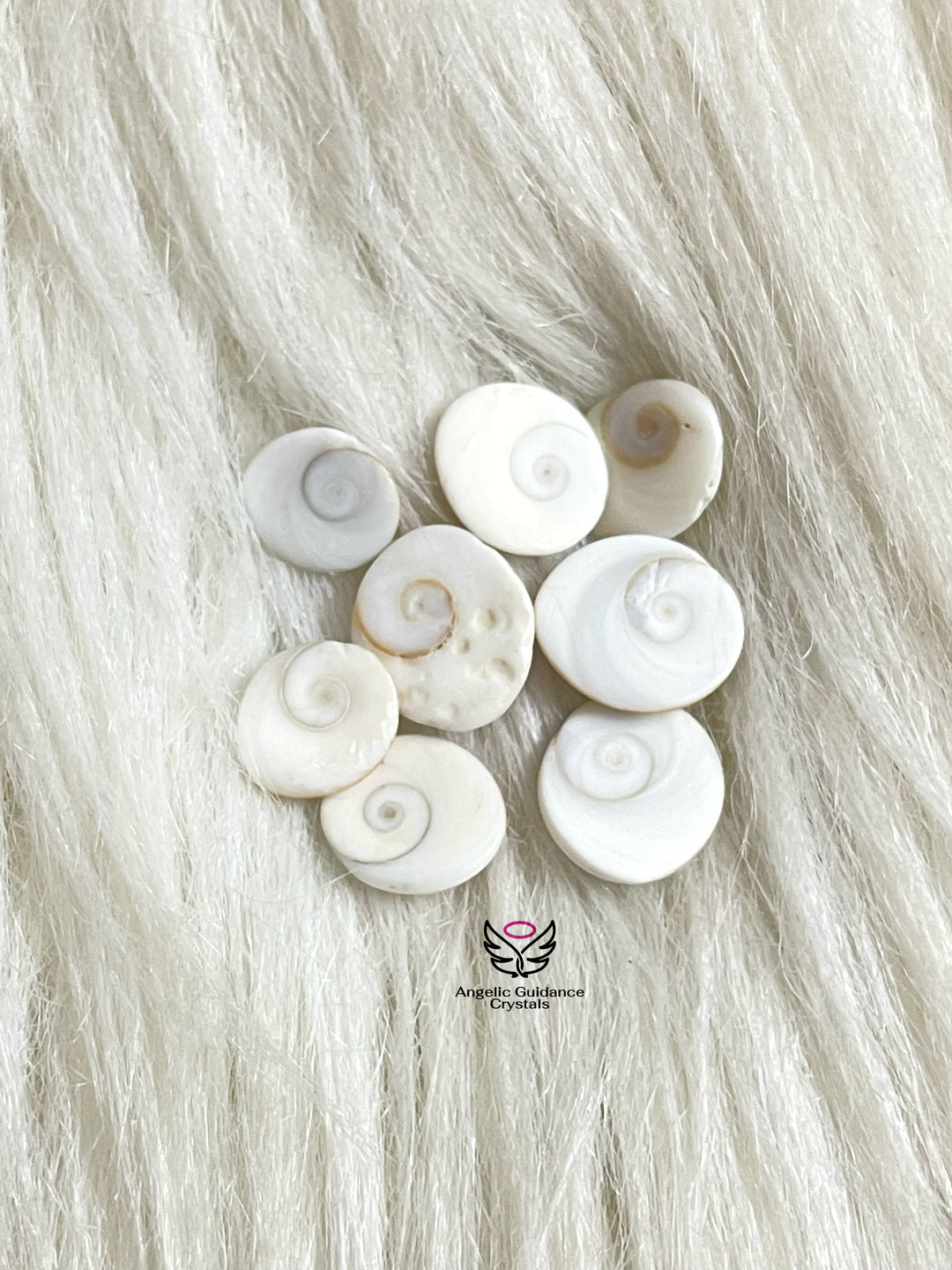 Gomti Chakra Xs