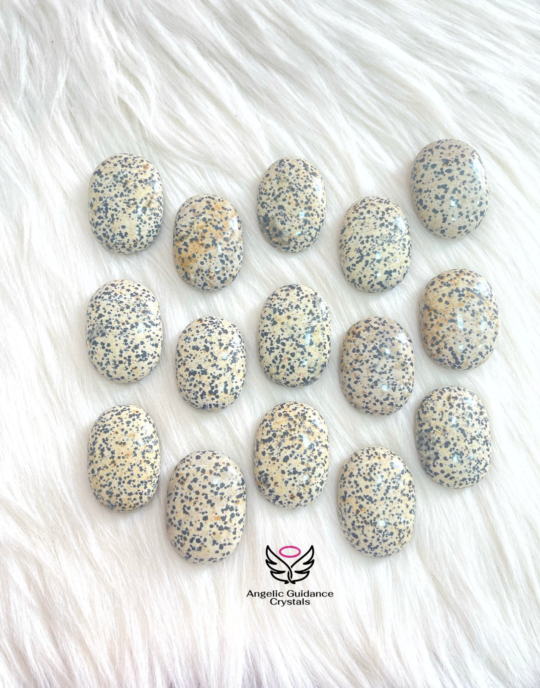 Dalmatian Jasper PalmStone