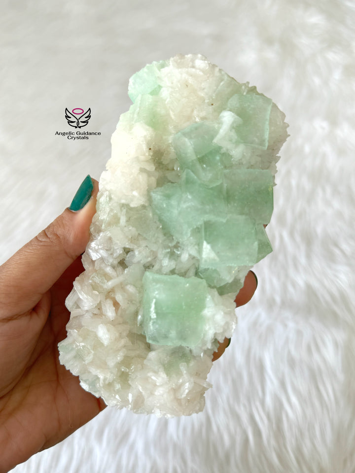 Apophyllite Cluster Large #1