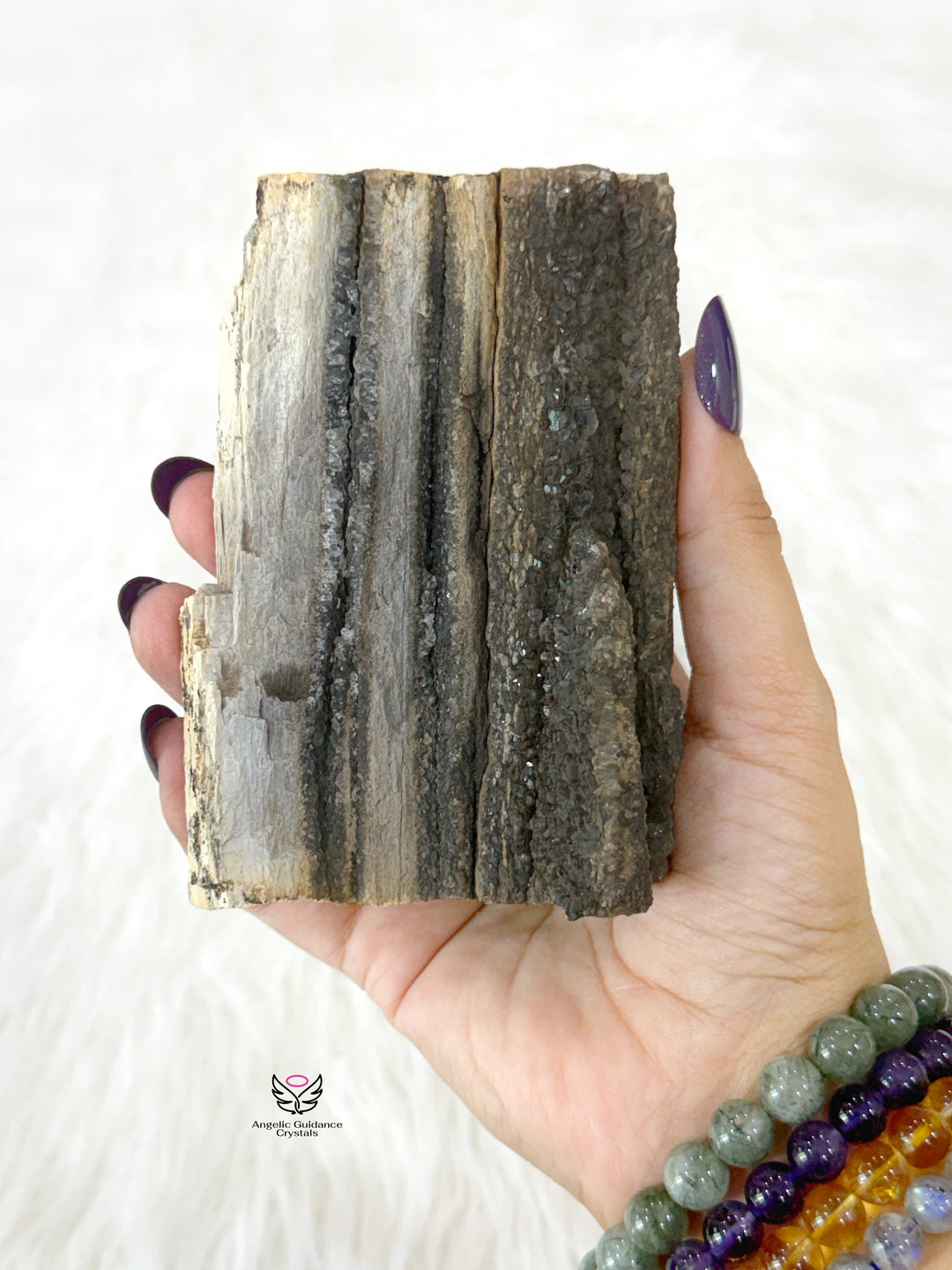 Petrified Wood With Smoky Quartz 4