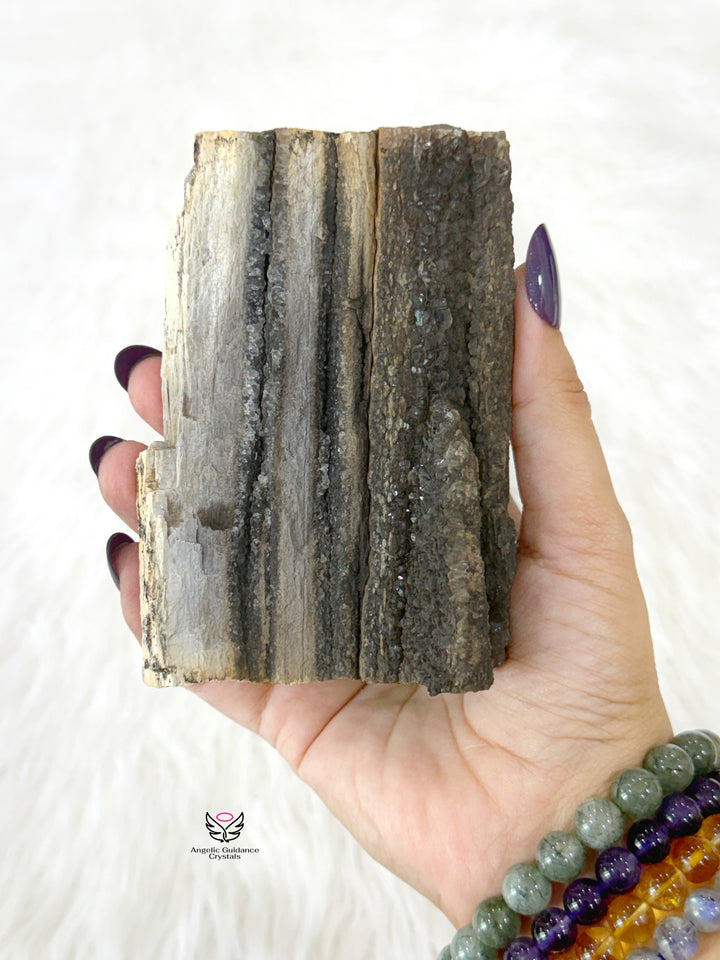 Petrified Wood With Smoky Quartz 4