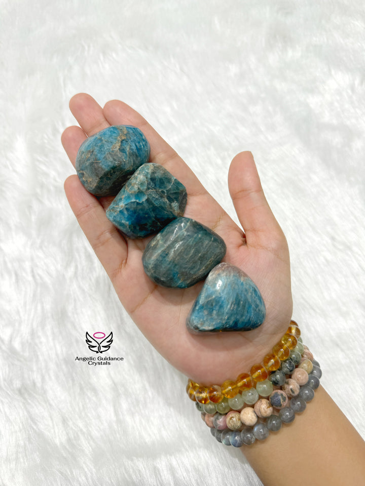 Blue Apatite Tumble Large