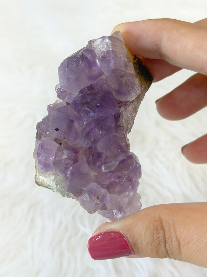 Amethyst Cluster Medium Aa