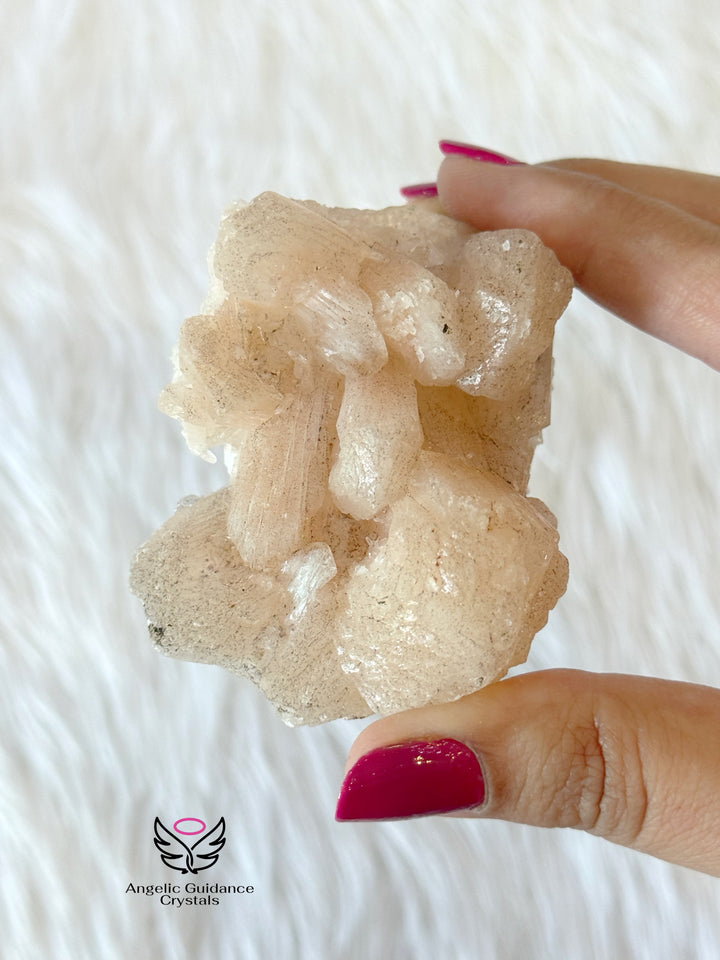Apophyllite Cluster