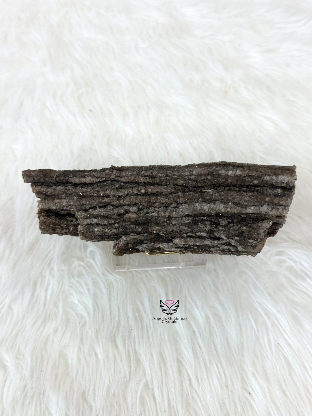 Petrified Wood With Smoky Quartz 1