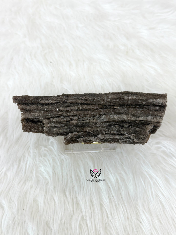 Petrified Wood With Smoky Quartz 1