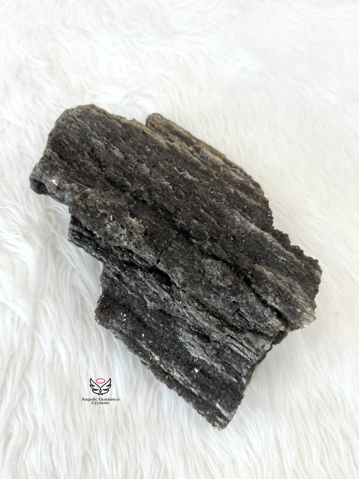 Petrified Wood With Smoky Quartz 7