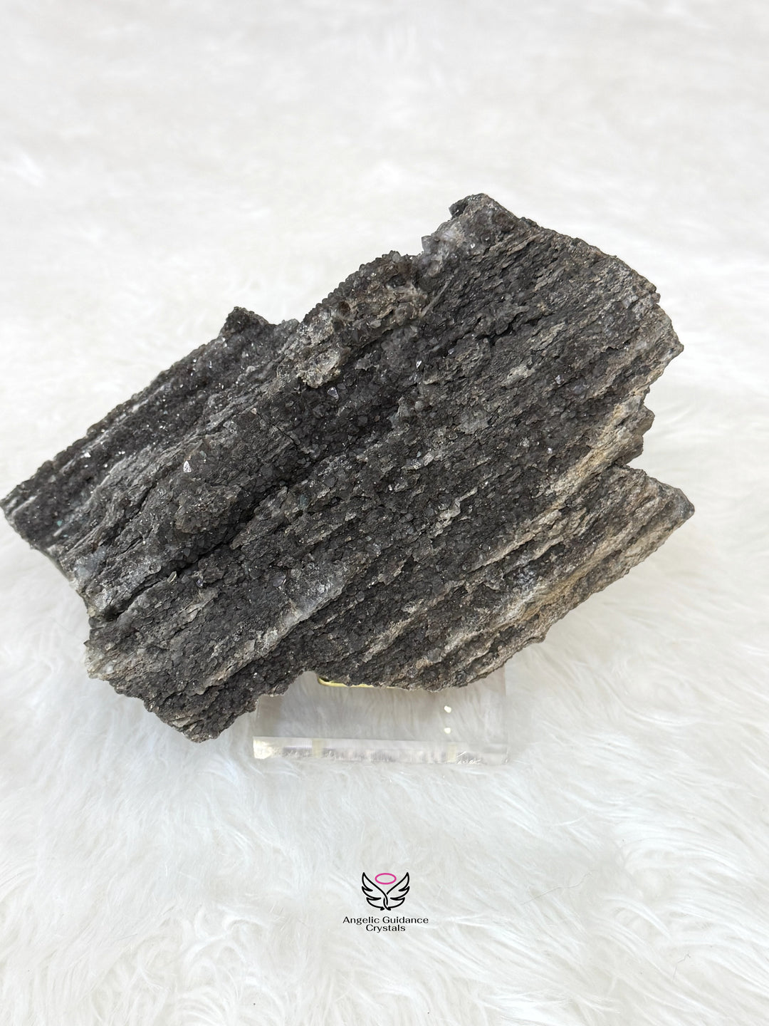Petrified Wood With Smoky Quartz 7