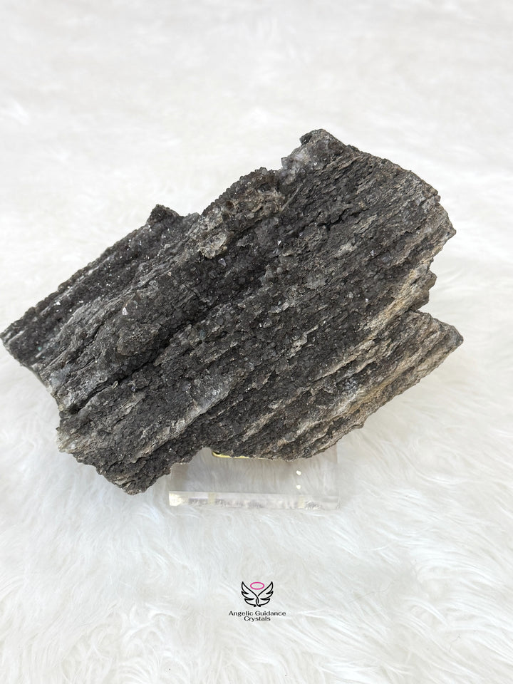Petrified Wood With Smoky Quartz 7