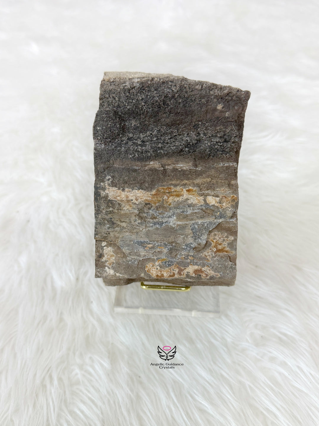 Petrified Wood With Smoky Quartz 5
