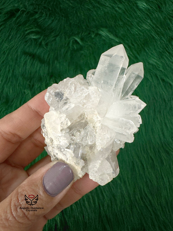 Clear Quartz Cluster