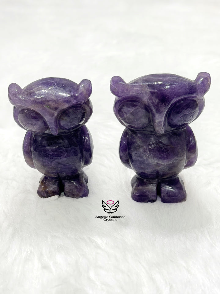 Amethyst Owl