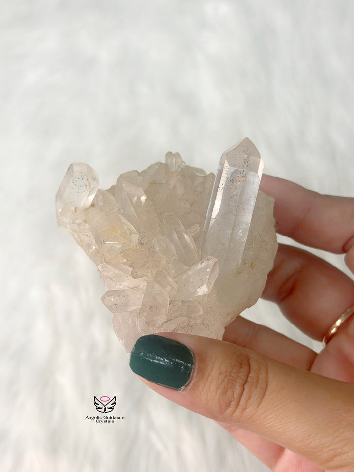 Clear Quartz Cluster