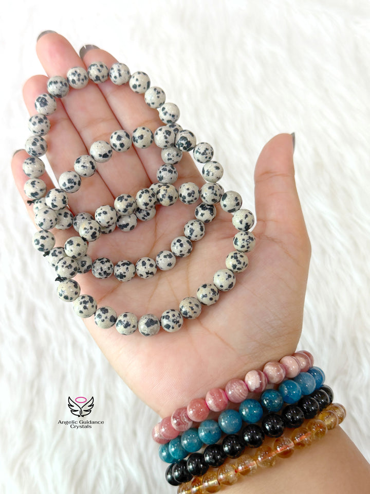 Dalmatian Jasper Bracelet 8mm