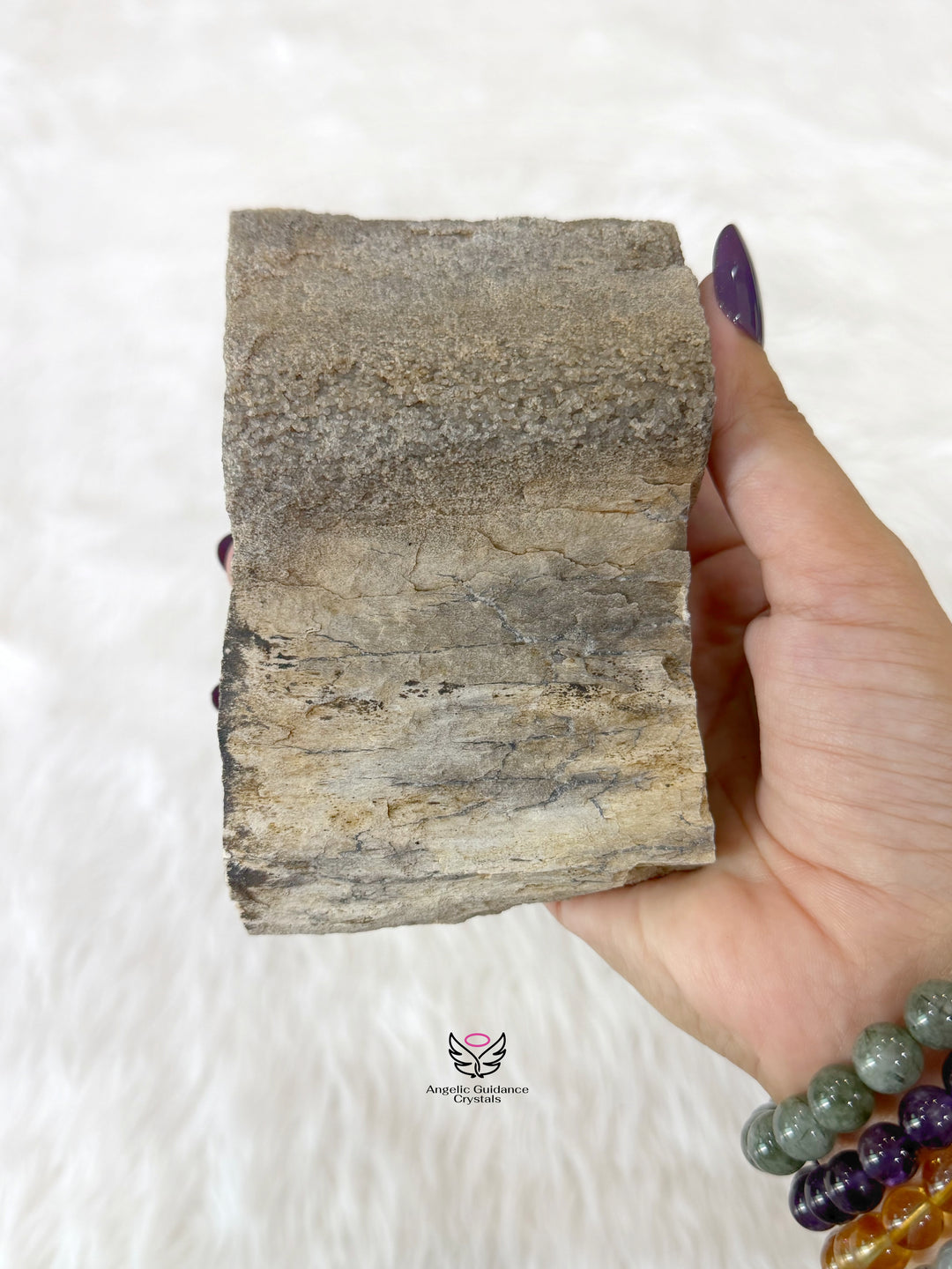 Petrified Wood With Smoky Quartz 5