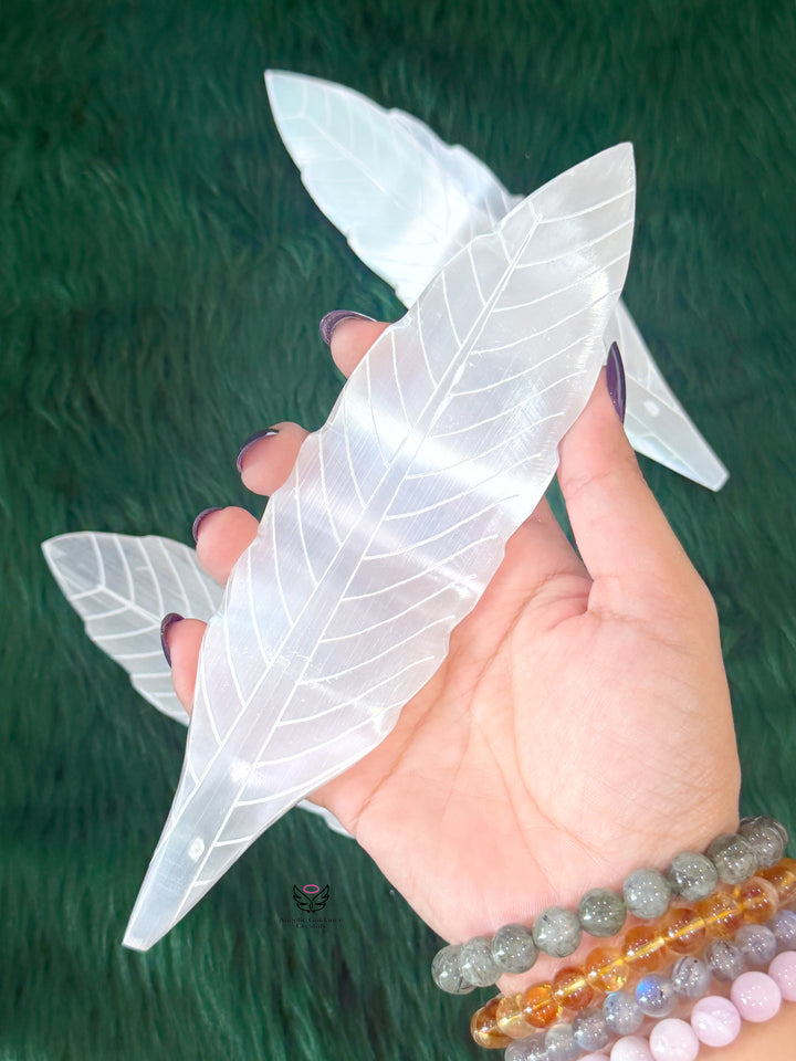 Selenite Feather
