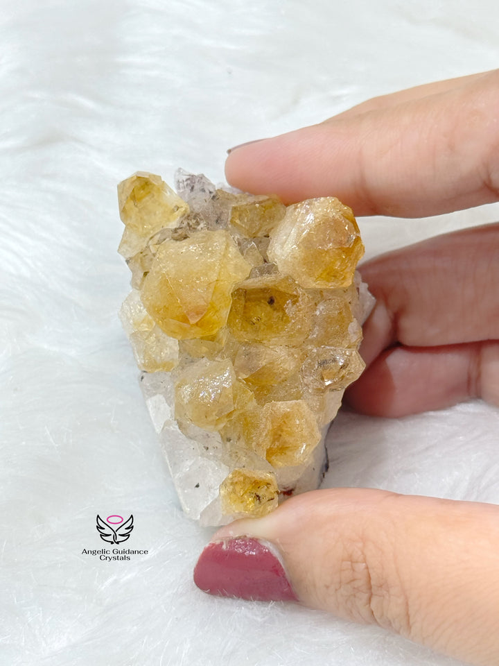 Citrine Cluster Small