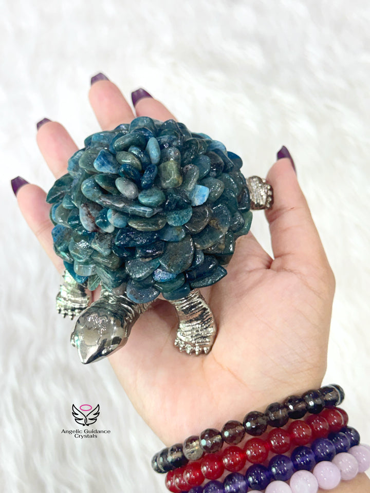 Blue Apatite Tortoise Lamp