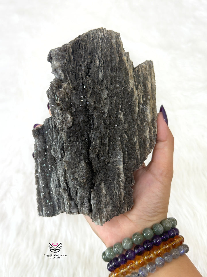 Petrified Wood With Smoky Quartz 7