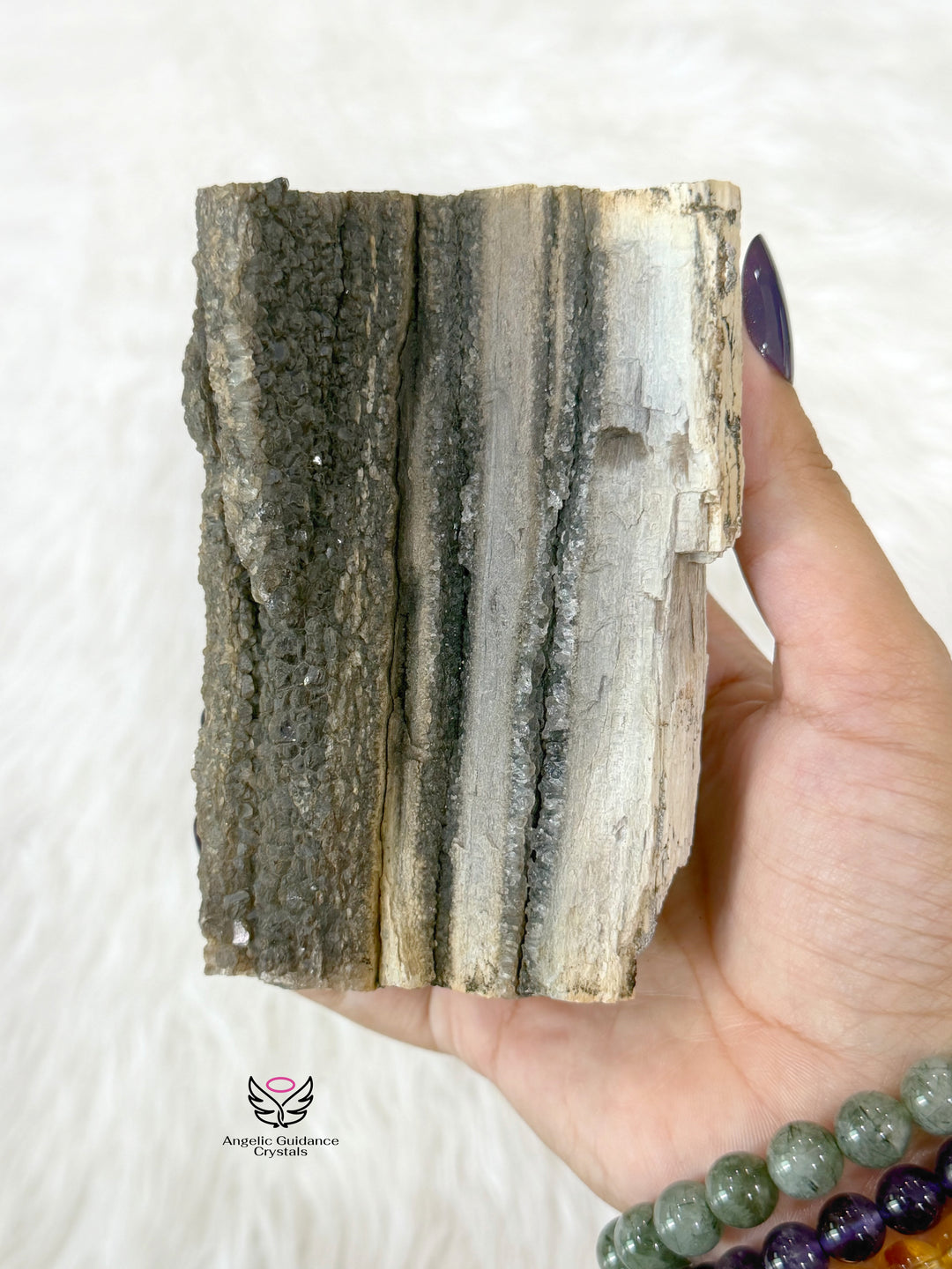 Petrified Wood With Smoky Quartz 4