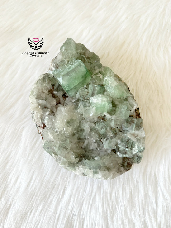 Green Apophyllite Cluster Large #2