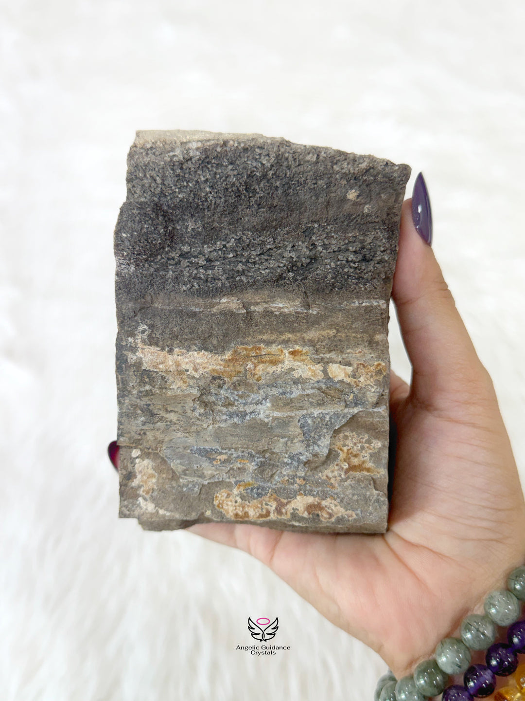 Petrified Wood With Smoky Quartz 5