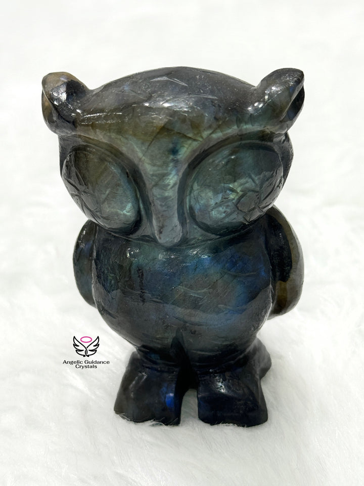 Labradorite Owl