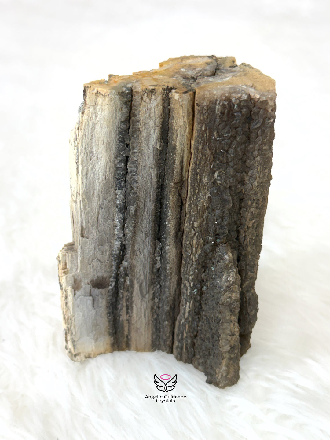 Petrified Wood With Smoky Quartz 4