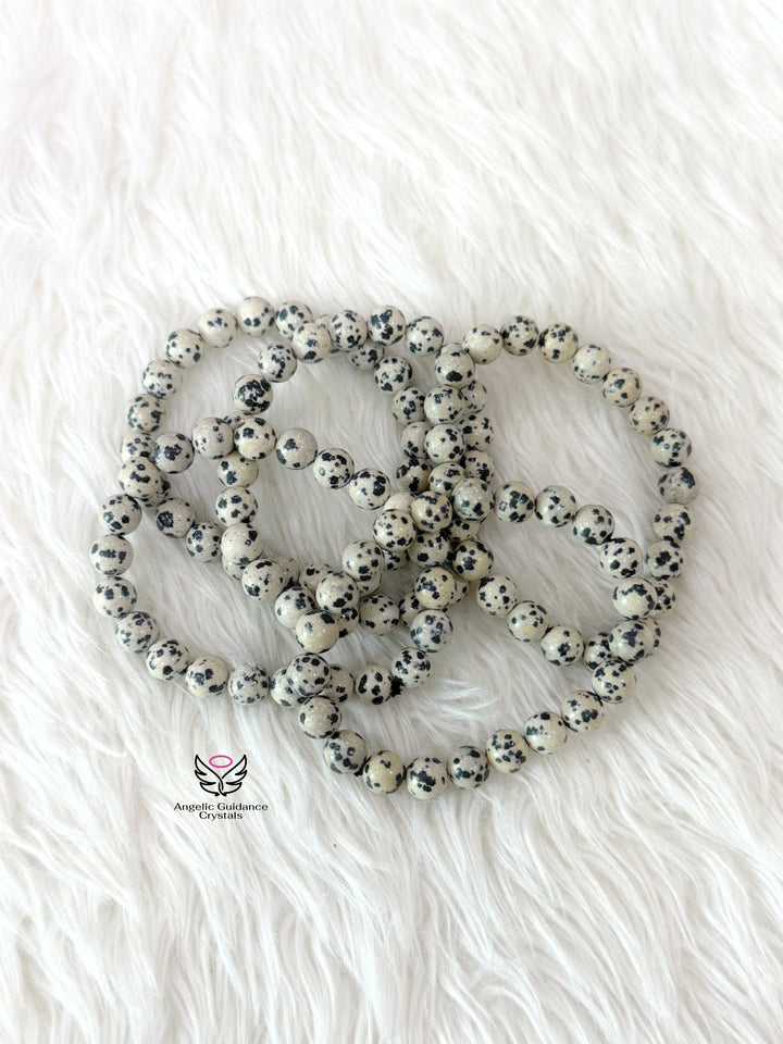 Dalmatian Jasper Bracelet 8mm