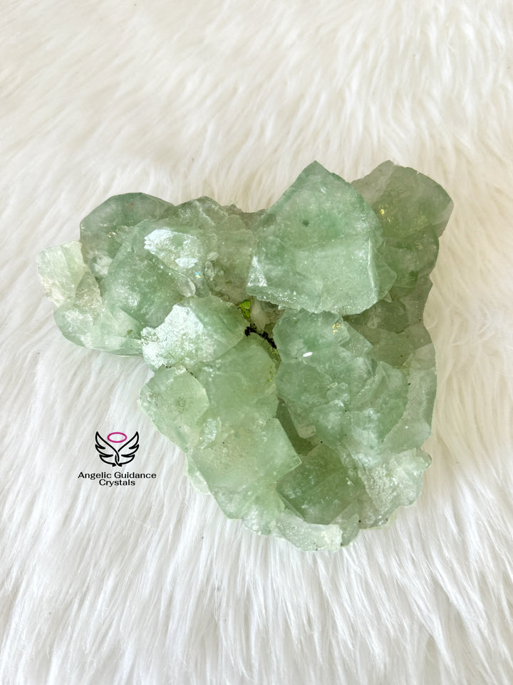 Green Apophyllite Cluster Large #4