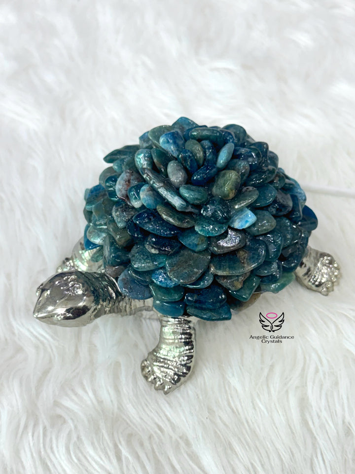 Blue Apatite Tortoise Lamp
