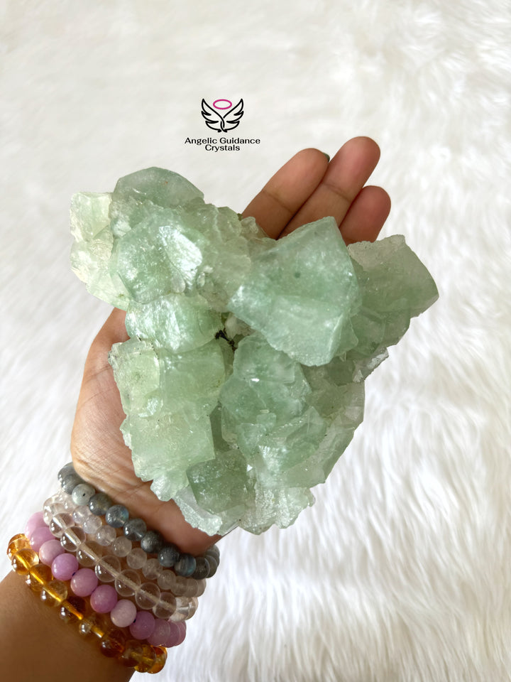 Green Apophyllite Cluster Large #4