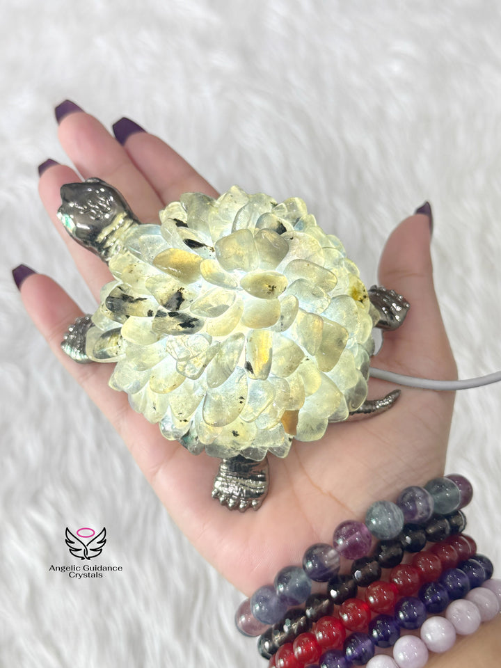 Labradorite Tortoise Lamp