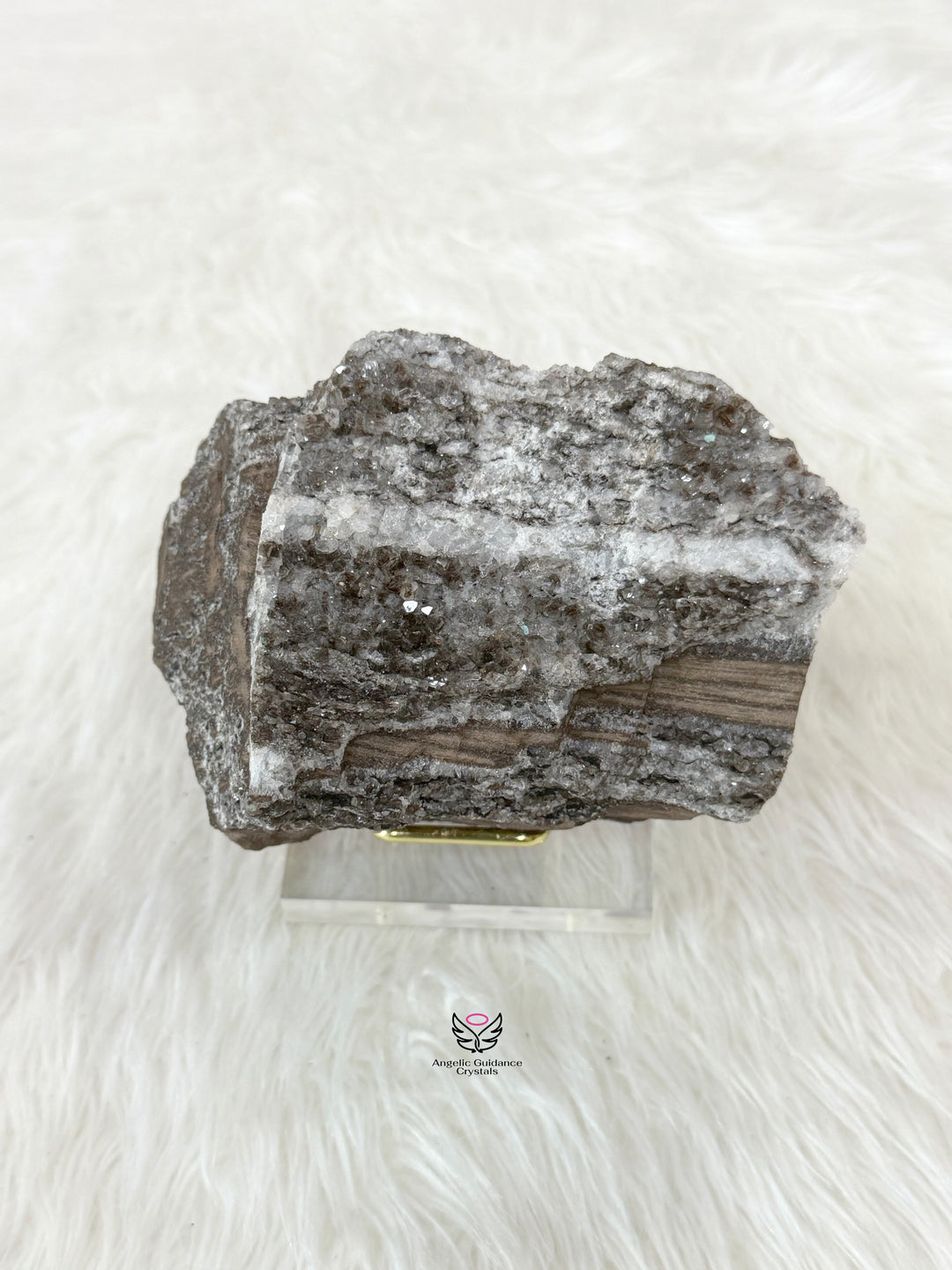 Petrified Wood With Smoky Quartz And Clear Quartz