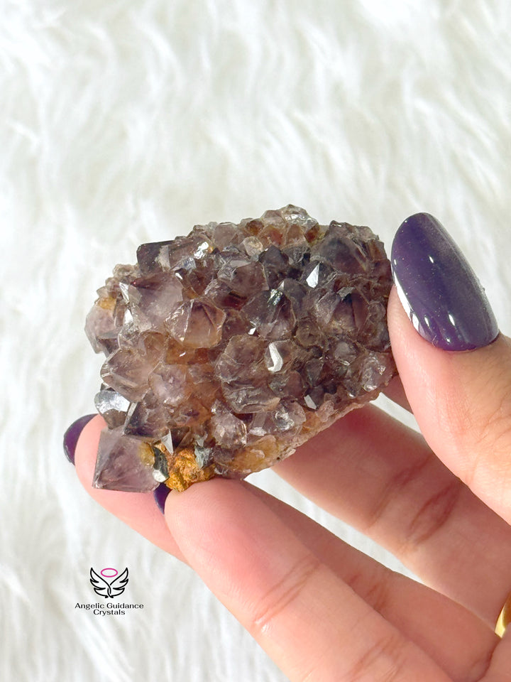 Amethyst With Spirit Quartz Cluster Small