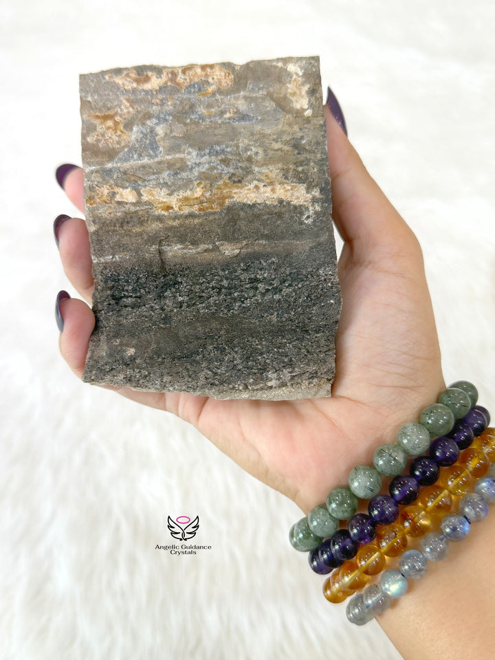 Petrified Wood With Smoky Quartz 5