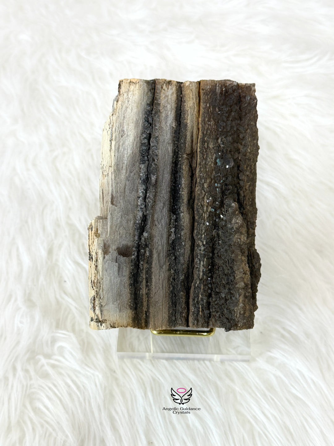 Petrified Wood With Smoky Quartz 4
