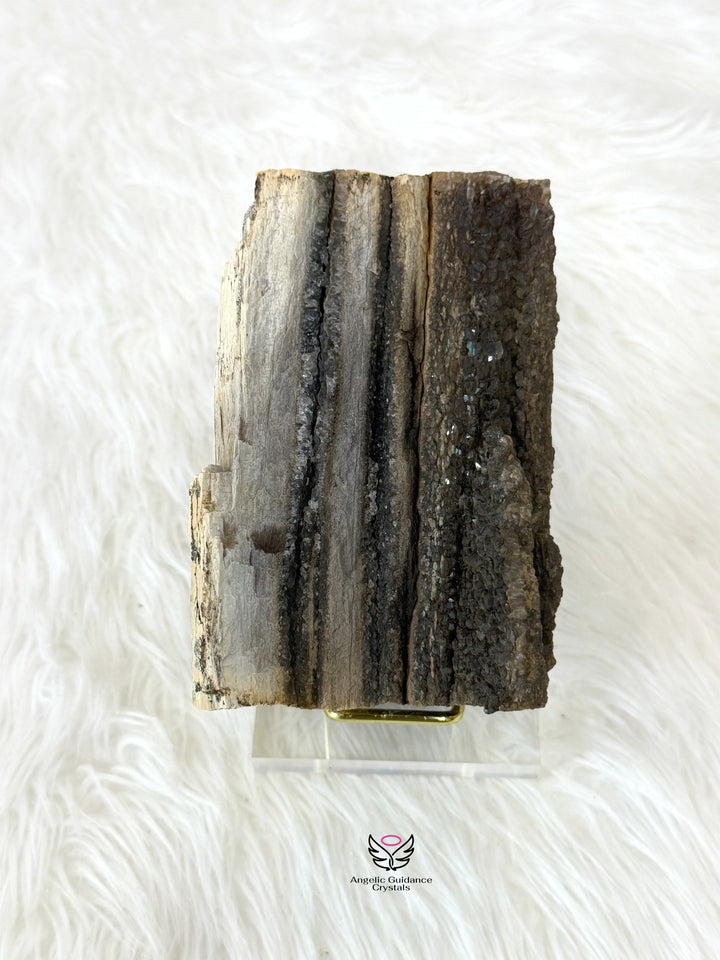 Petrified Wood With Smoky Quartz 4