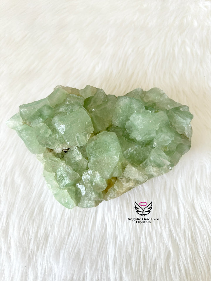 Green Apophyllite Cluster Xl #1