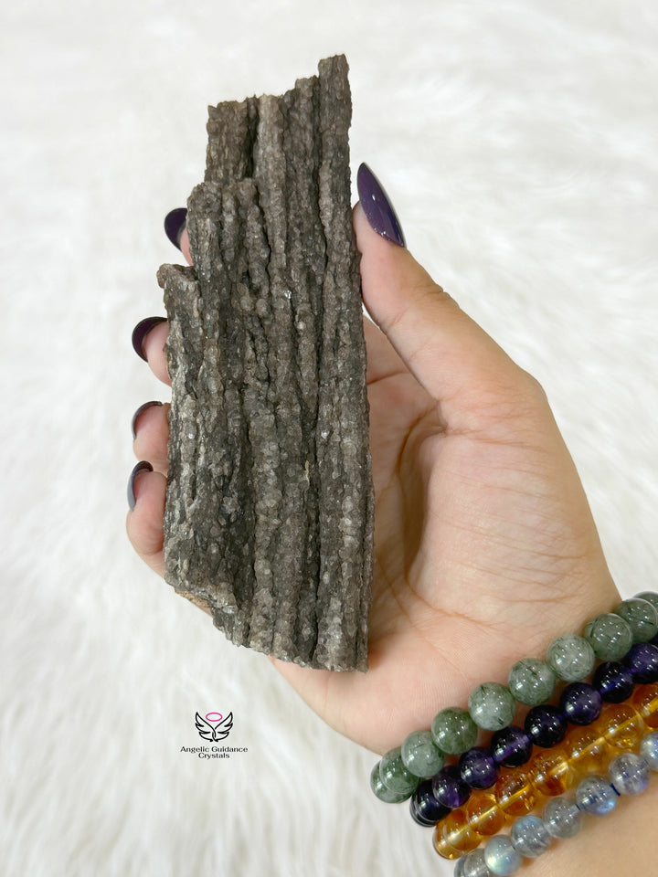 Petrified Wood With Smoky Quartz 1