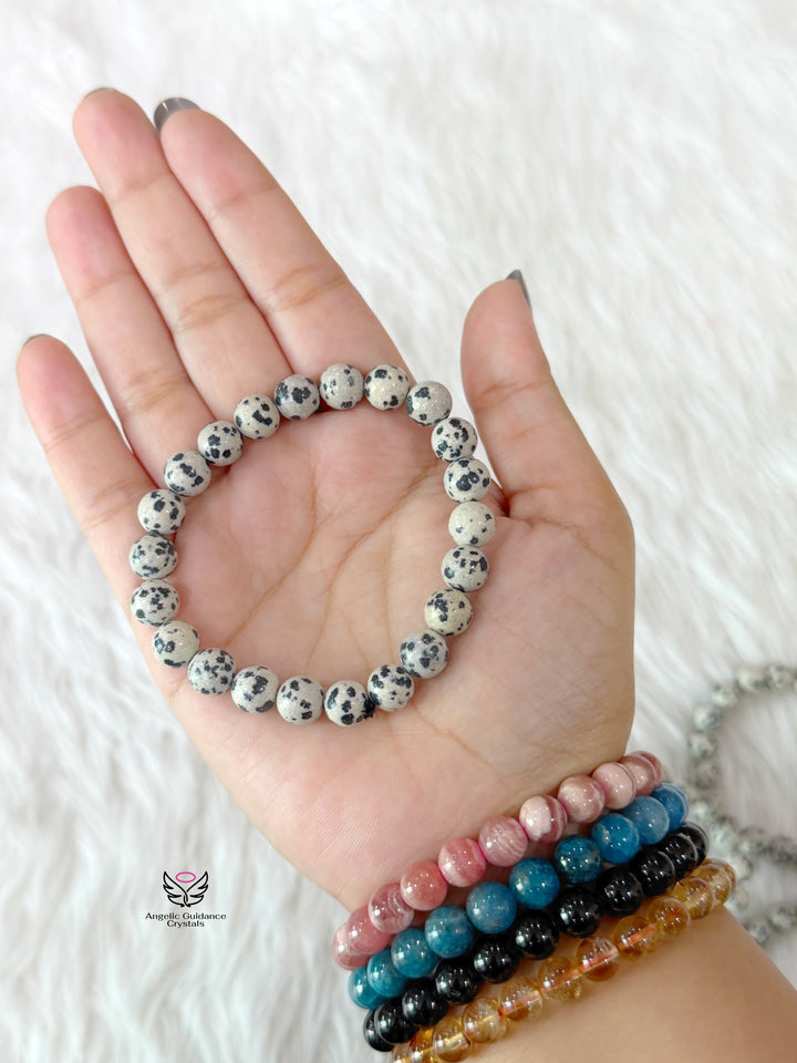 Dalmatian Jasper Bracelet 8mm