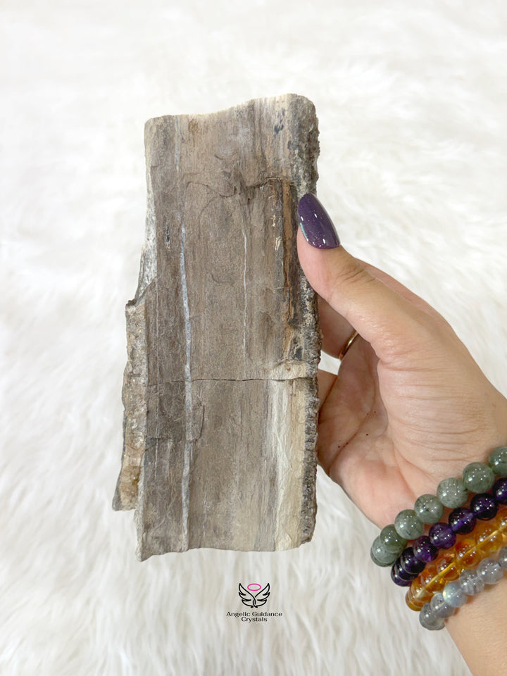 Petrified Wood With Smoky Quartz 6
