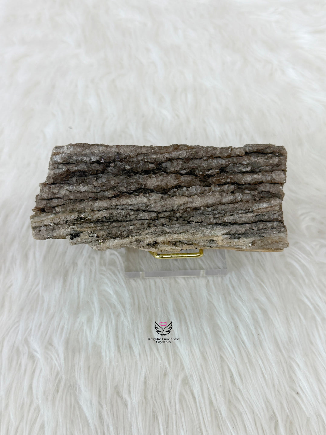Petrified Wood With Smoky Quartz 2