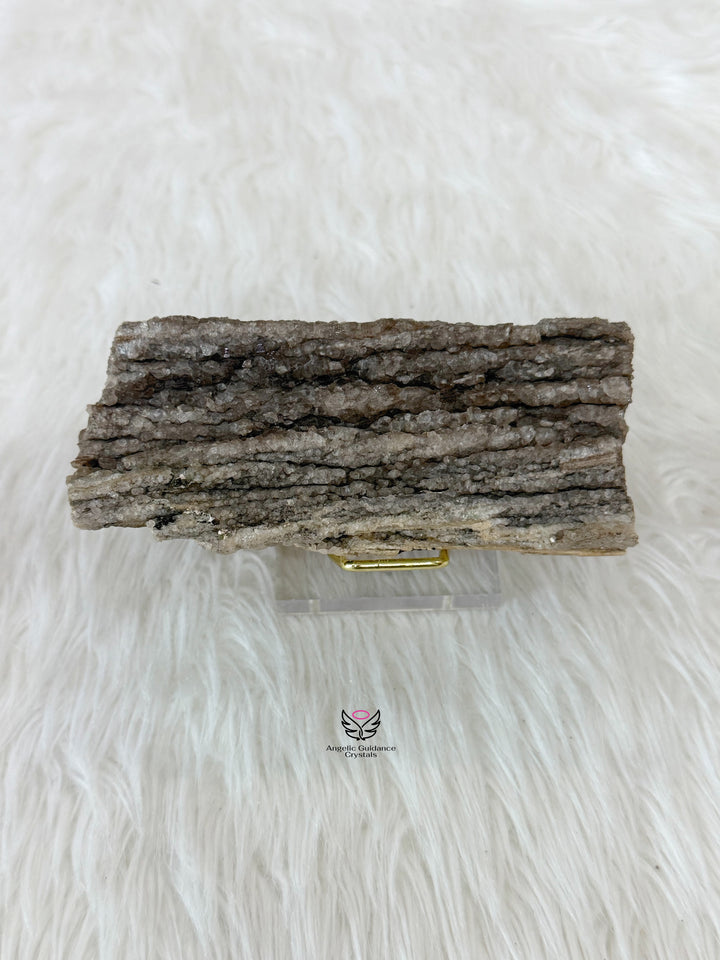 Petrified Wood With Smoky Quartz 2