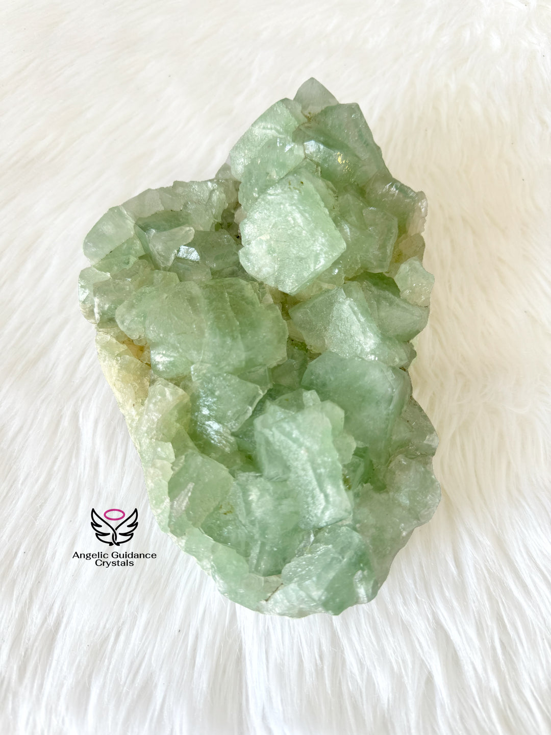 Green Apophyllite Cluster Xl #1