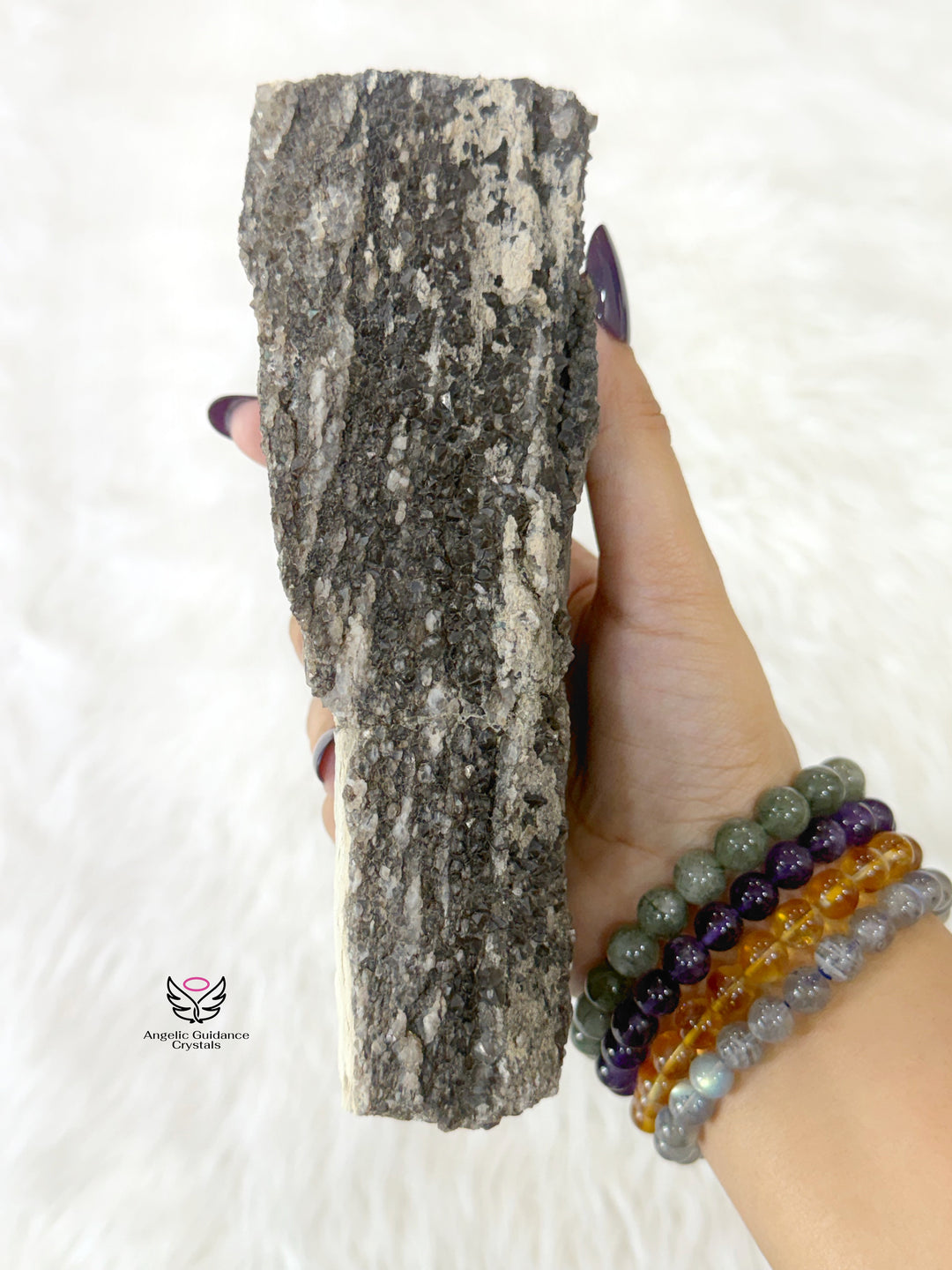 Petrified Wood With Smoky Quartz 6