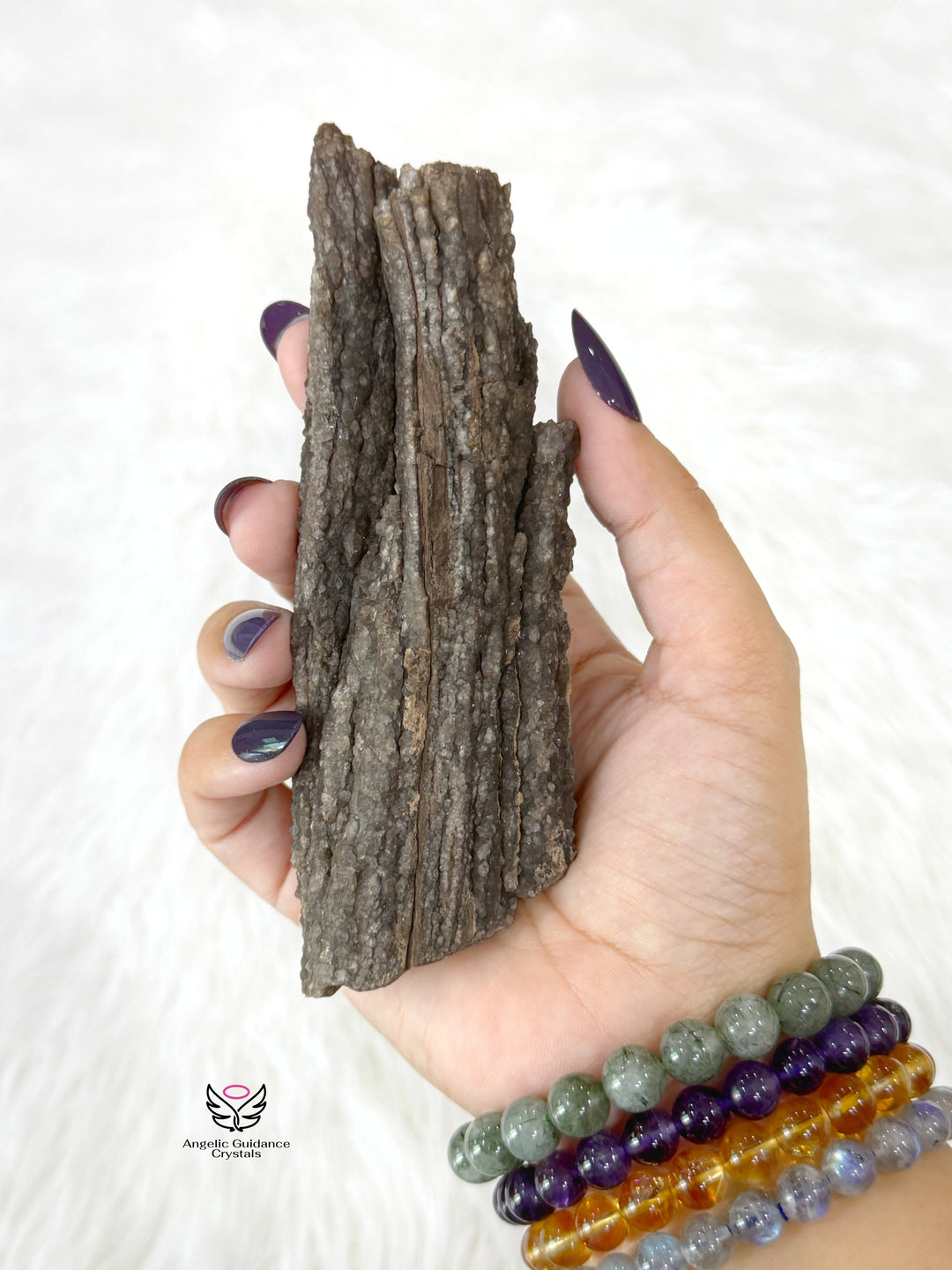 Petrified Wood With Smoky Quartz 1