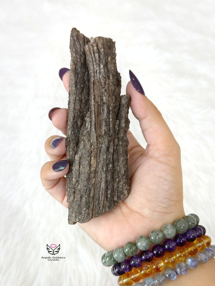 Petrified Wood With Smoky Quartz 1